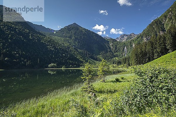 Steirischer Bodensee im Sommer  Schladminger Tauern  Steiermark  Österreich  Europa