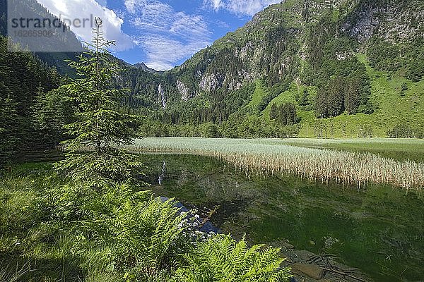 Steirischer Bodensee im Sommer  Schladminger Tauern  Steiermark  Österreich  Europa