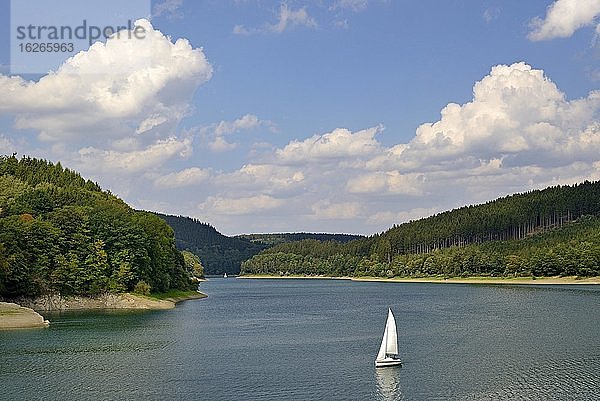 Ausblick auf den Hennesee mit Segelbooten  blauer Wolkenhimmel  Hennetalsperre  Naturpark Sauerland-Rothaargebirge  Nordrhein-Westfalen  Deutschland  Europa
