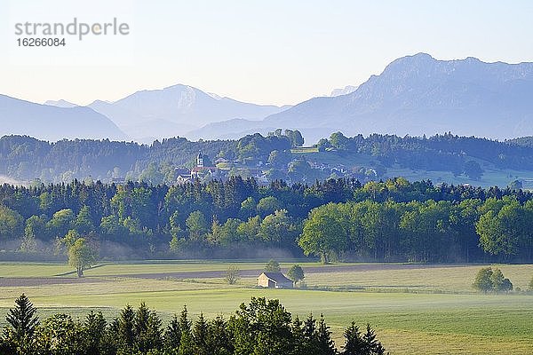 Oberhausen und Ammertal  Blick von Berghof  Pfaffenwinkel  Alpenvorland  Oberbayern  Bayern  Deutschland  Europa