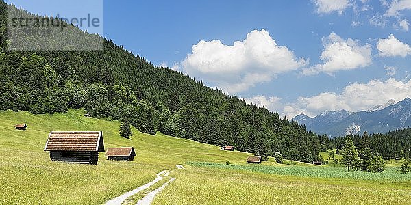 Weg durch eine Wiese mit Heuhütten am Geroldsee  bei Klais  Oberbayern  Bayern  Deutschland  Europa