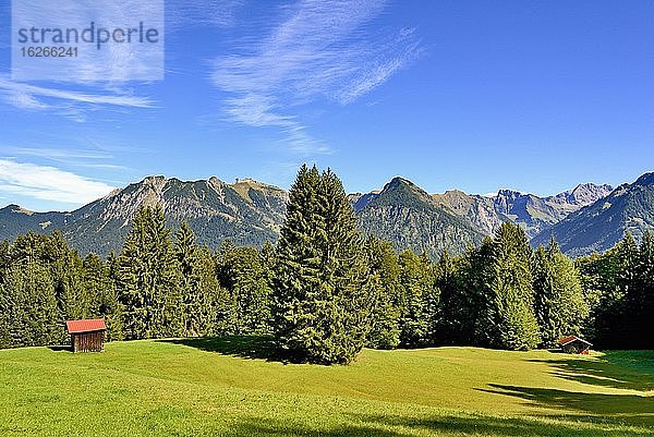 Heuschober auf einer Bergwiese  umgeben von Bergfichten (Picea abies)  Allgäuer Alpen  Allgäu  Bayern  Deutschland  Europa