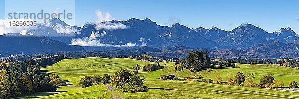 Alpenvorland bei Füssen  dahinter die Allgäuer Alpen  Ostallgäu  Bayern  Deutschland  Europa