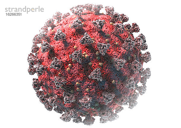 Corona-Virus  Illustration