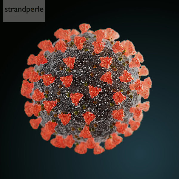 Coronavirus  Illustration