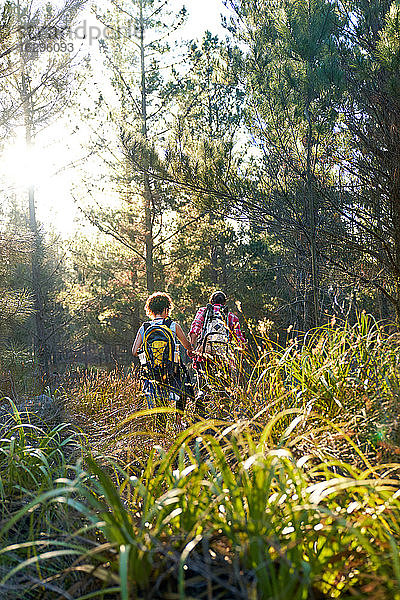 Junges Paar mit Rucksäcken wandert im hohen Gras in sonnigen Wäldern