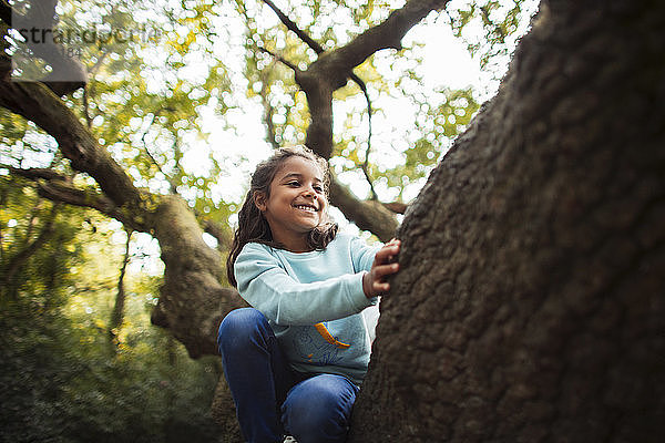 Glückliches Mädchen klettert auf Baum