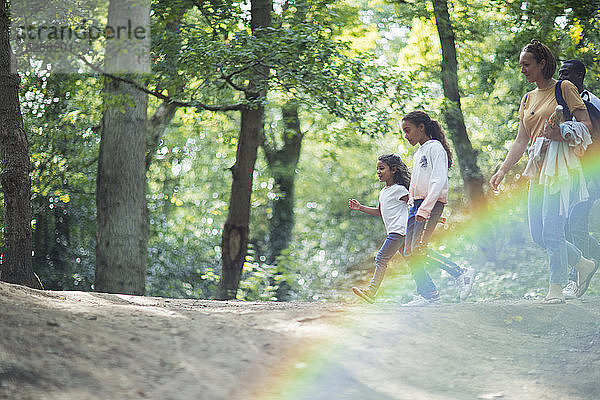 Familienwandern in Sommerwäldern