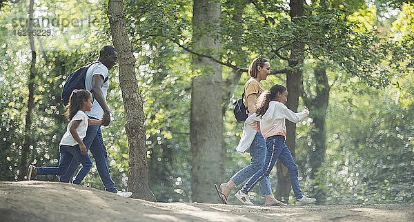 Familie wandert in Sommerwäldern an Bäumen vorbei