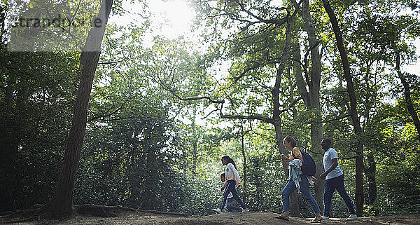 Familienwandern in sonnigen Sommerwäldern