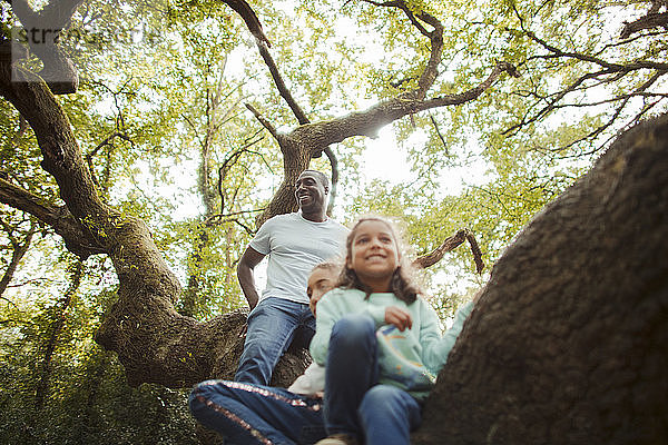 Glücklicher Vater und glückliche Töchter klettern auf Baum