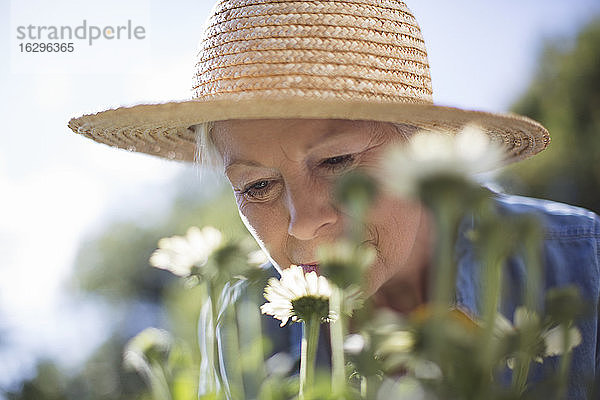 Nahaufnahme einer älteren Frau mit Strohhut  die Blumen im Garten riecht