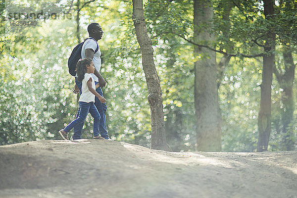 Vater und Tochter beim Händchenhalten beim Wandern in sonnigen Sommerwäldern