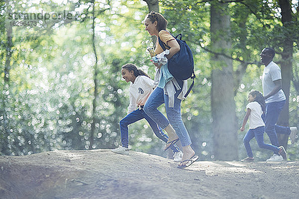 Familienwandern im Wald