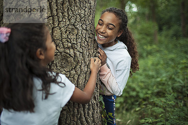 Glückliche Schwestern spielen am Baumstamm im Wald