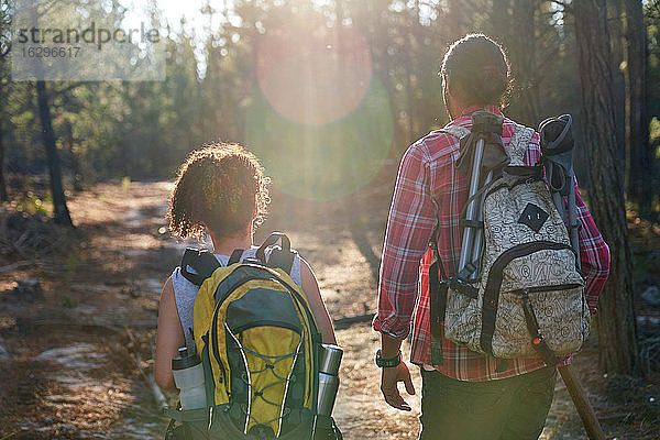 Junges Paar mit Rucksäcken wandert in sonnigen Sommerwäldern