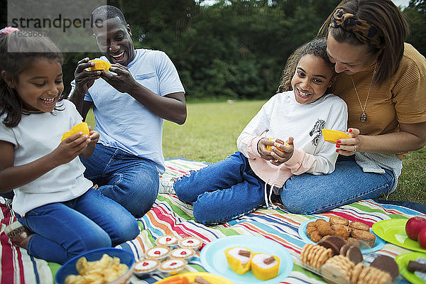 Glückliche Familie genießt Dessert auf einer Picknickdecke im Park