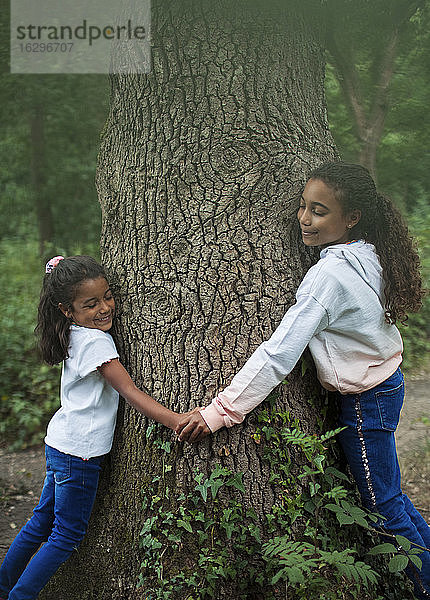 Glückliche Schwestern halten sich an den Händen und umarmen Baumstämme im Wald