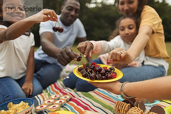 Familie isst frische Kirschen auf einer Picknickdecke im Park