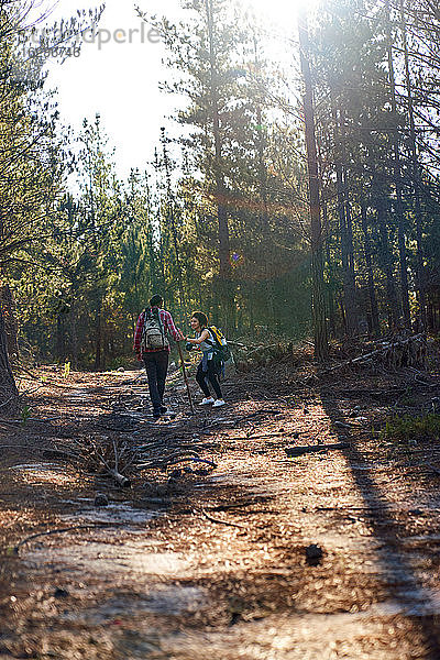 Junges Paar wandert in sonnigen Wäldern