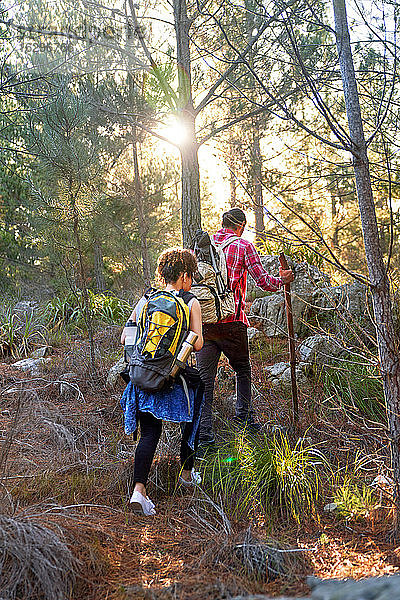 Junges Paar mit Rucksäcken wandert in sonnigen Wäldern