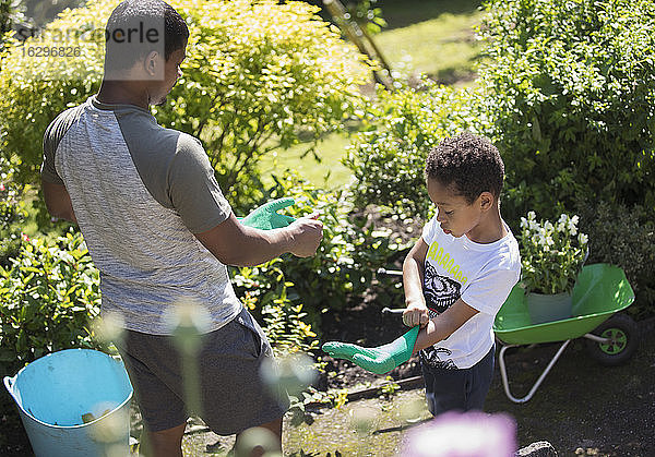 Vater und Sohn bei der Gartenarbeit mit Handschuhen im sonnigen Sommergarten