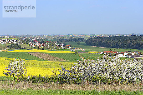 Deutschland  Bayern  Oberbayern  Nassenfels  Schuttertal bei Zell an der Speck