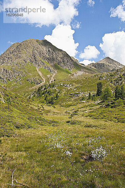 Italien  Südtirol  Pustertal  Antholz-Obertal  Staller-Sattel  Grenze zu Österreich