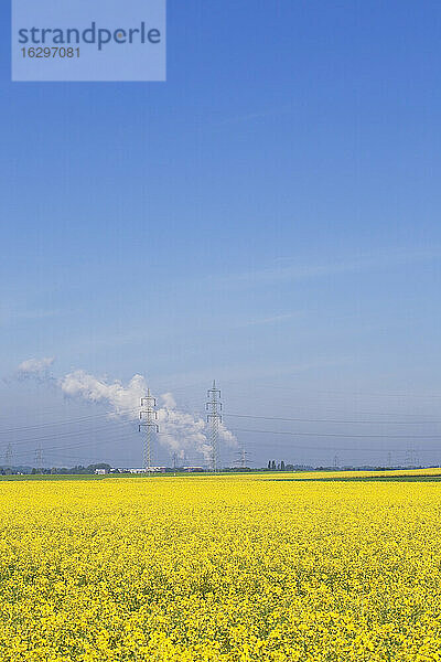 Deutschland  Nordrhein-Westfalen  Pulheim  Blick auf Rapsfelder (Brassica napus) vor Hochspannungsfreileitungen und Emissionen eines Braunkohlekraftwerks