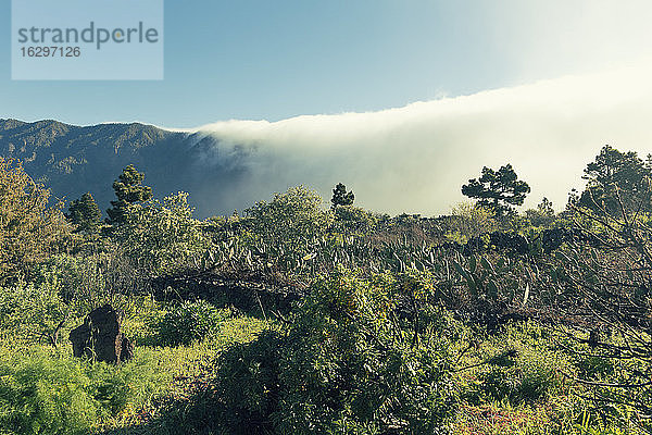 Spanien  Kanarische Inseln  La Palma  Landschaft im Nationalpark Caldera de Taburiente