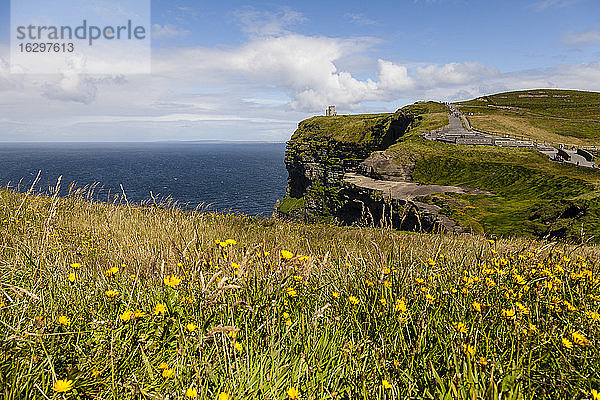 Irland  Landschaft an den Cliffs of Moher