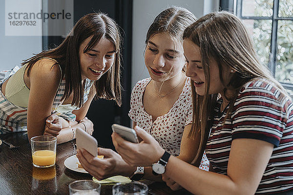 Gruppe von Mädchen im Teenageralter  die sich zum Brunch treffen und auf ihre Smartphones schauen