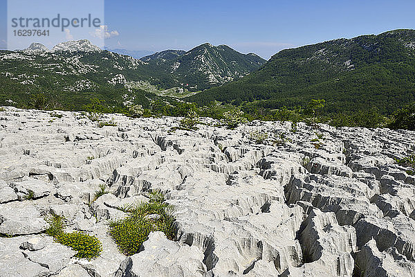 Montenegro  Crna Gora  Karsthochfläche auf dem Berg Subra  Region Orjen