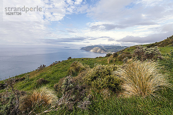 Neuseeland  Wellington  Kapiti  Makara  Küste