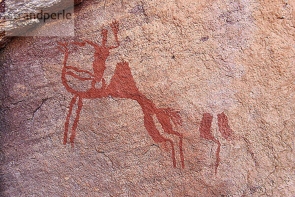 Nordafrika  Sahara  Algerien  Tassili N'Ajjer National Park  Tadrart  neolithische Felskunst  Felsmalerei eines Kamels mit Reiter