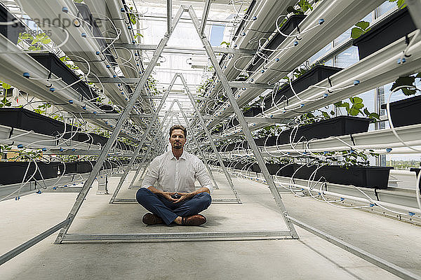 Geschäftsmann meditiert sitzend inmitten von Pflanzen im Gewächshaus