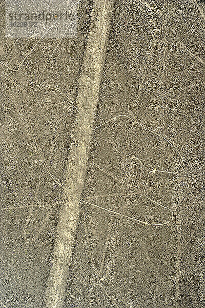 Peru  Ica  Nasca-Linien  Ansicht des Wals  Luftaufnahme