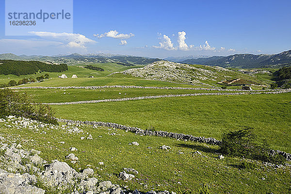 Montenegro  Durmitor-Nationalpark  Alm auf der Hochebene von Sinjajevina