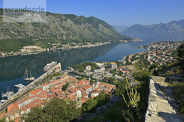 Montenegro  Crna Gora  Blick über die Altstadt und die Bucht von Kotor