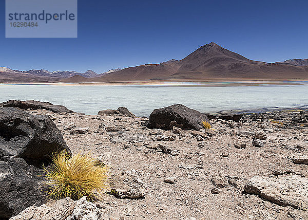 Bolivien  Atacamawüste  Laguna Verde