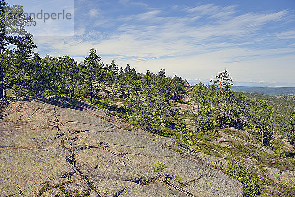 Schweden  Oernskoeldsvik  Landschaft im Skuleskogen-Nationalpark