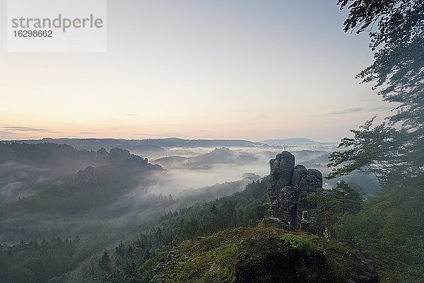 Deutschland  Sachsen  Morgennebel im Elbsandsteingebirge