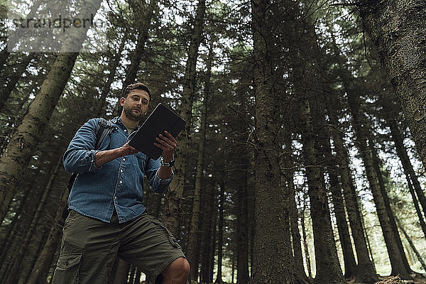 Mann prüft GPS über digitales Tablet  während er im Wald vor Bäumen steht