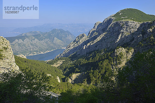 Montenegro  Crna Gora  Blick vom Krstac auf die Bucht von Kotor