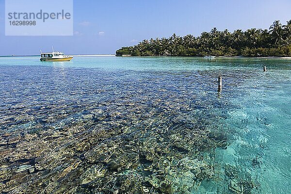 Malediven  Nord Male Atoll  Aisen  Korallen vor einer Insel