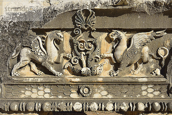 Türkei  Aydin  Marmorfries mit geflügelten Löwen im antiken Apollon-Tempel  archäologische Stätte von Didyma