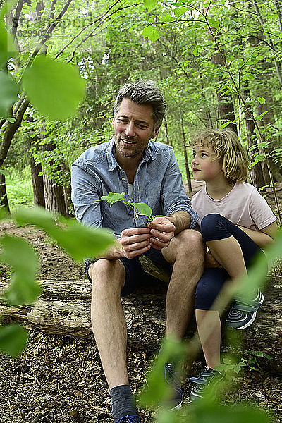Lächelnder Vater im Gespräch mit seiner Tochter  während er auf einem Baumstamm im Wald sitzt