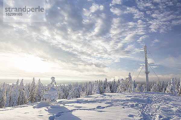 Skandinavien  Finnland  Rovaniemi  Wald  Bäume im Winter  Antennenmast  Gegen die Sonne