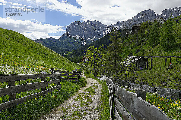 Italien  Südtirol  Wanderweg im Campilltal