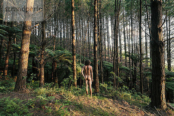 Neuseeland  Kapowai Road  Rückansicht eines nackten Mannes
